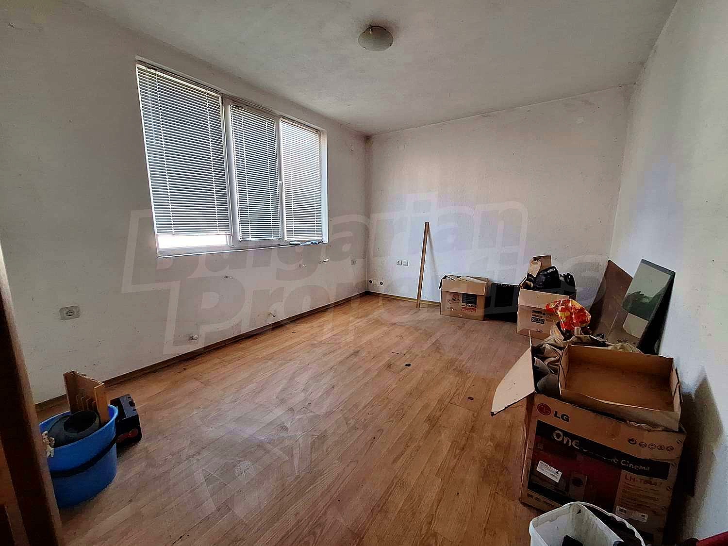 Gallery Picture 45
