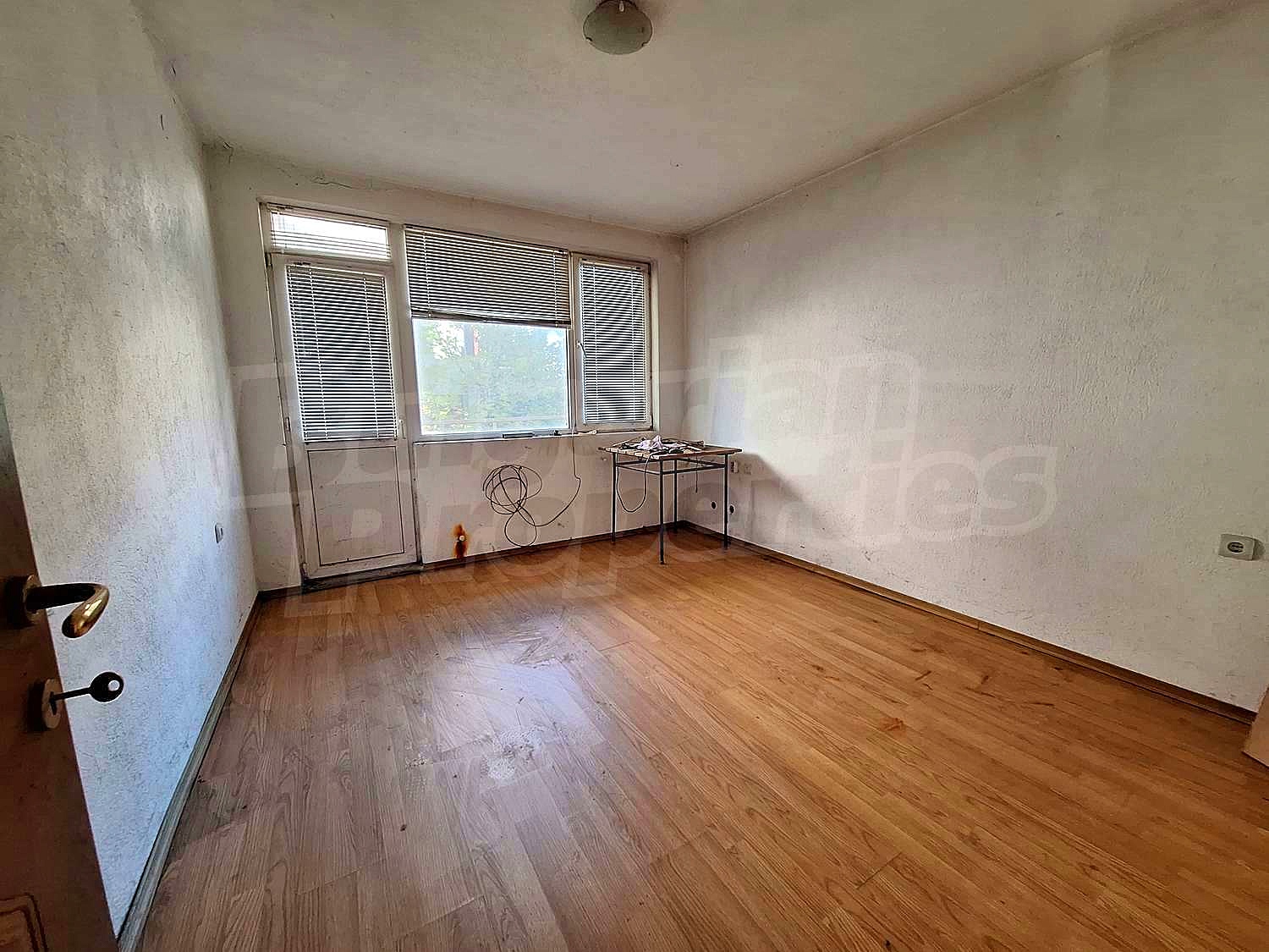 Gallery Picture 47