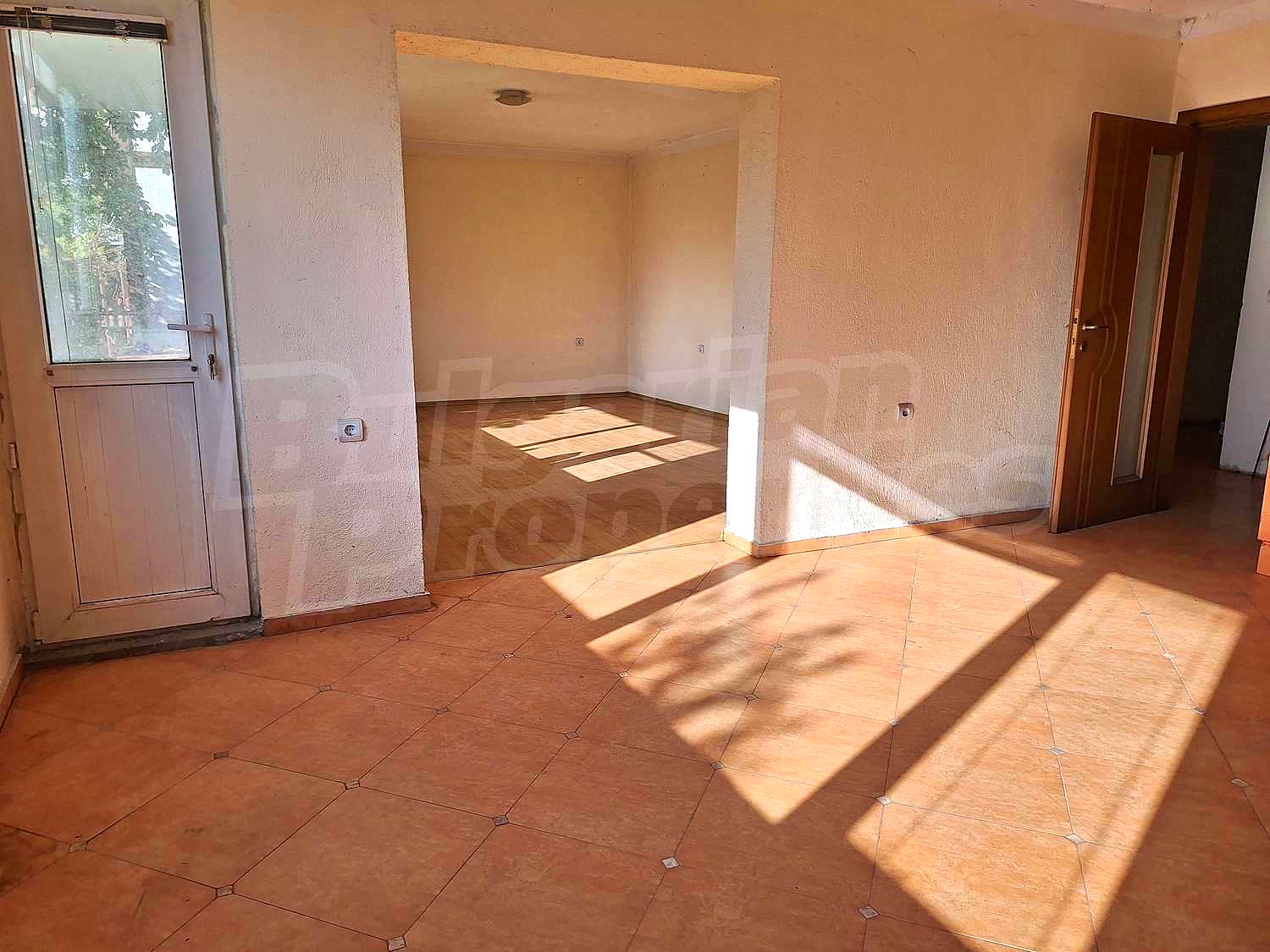 Gallery Picture 53