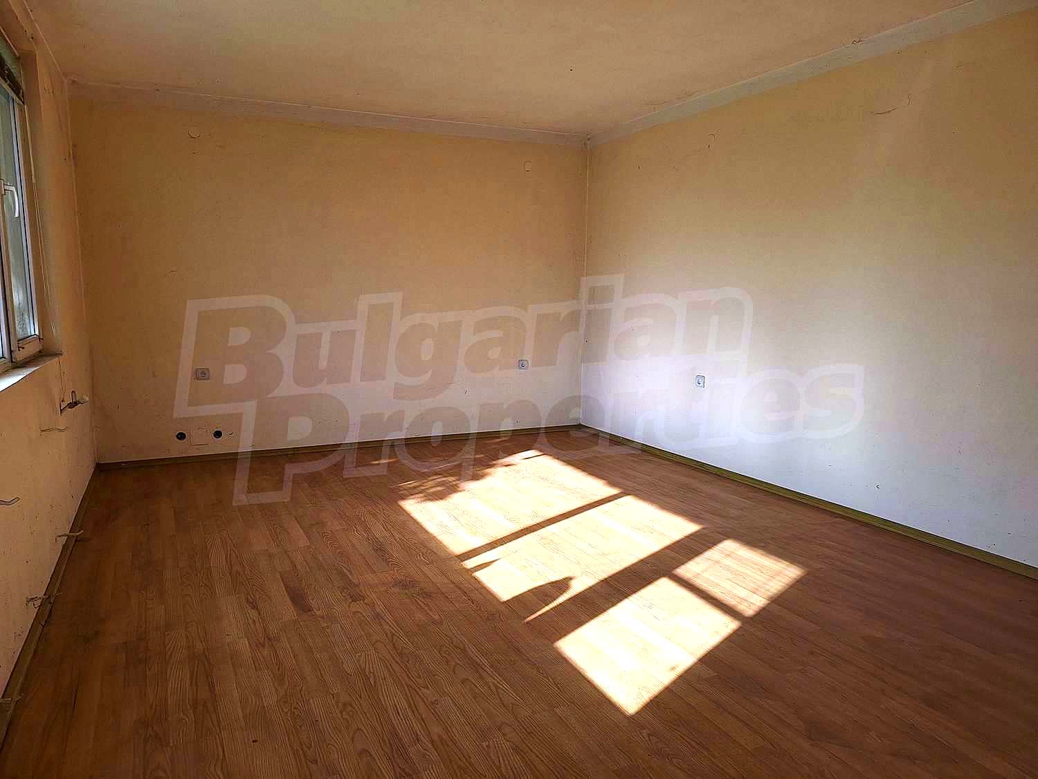 Gallery Picture 58
