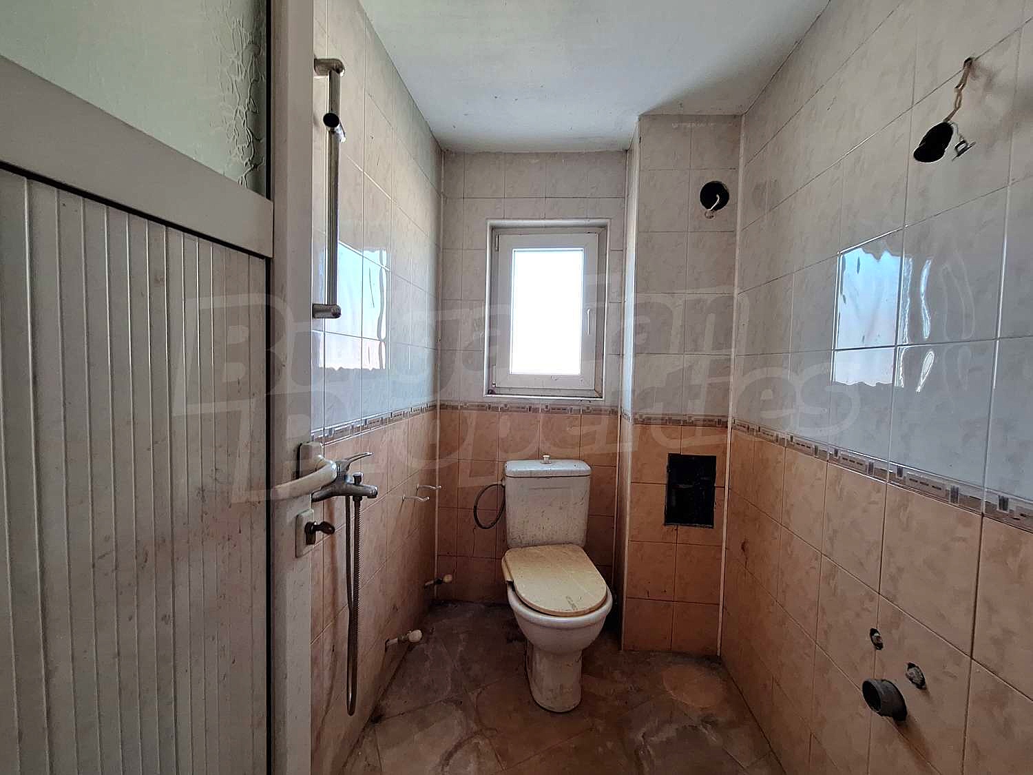 Gallery Picture 11