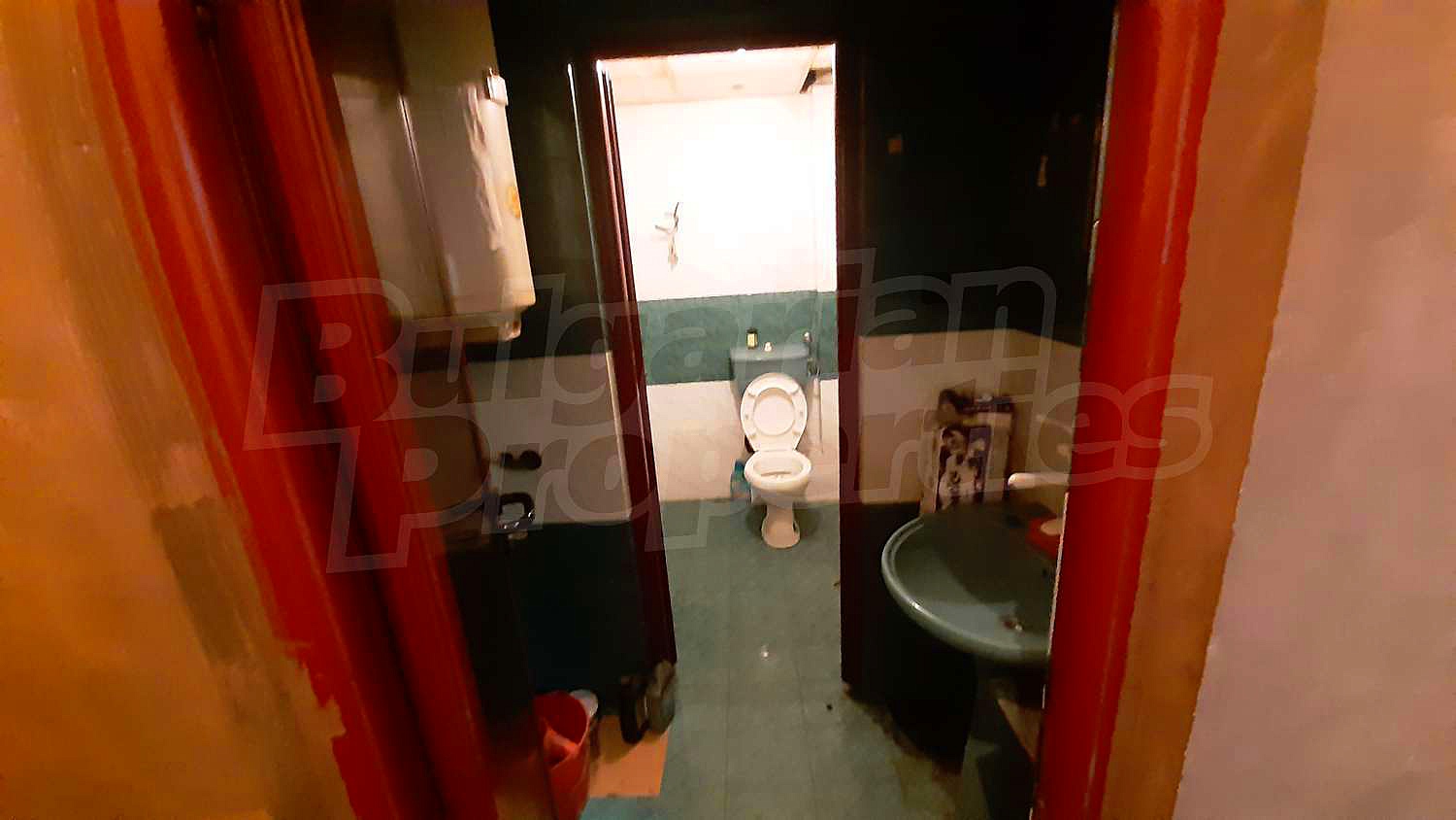 Gallery Picture 12