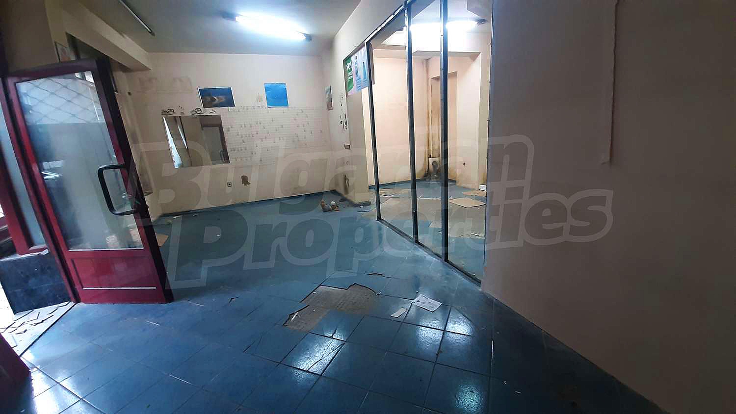 Gallery Picture 15