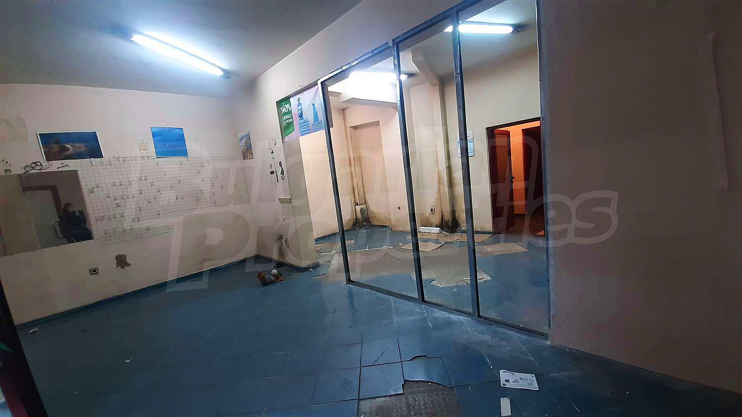 Gallery Picture 7