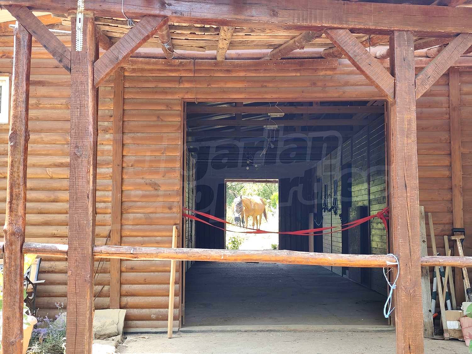Gallery Picture 3