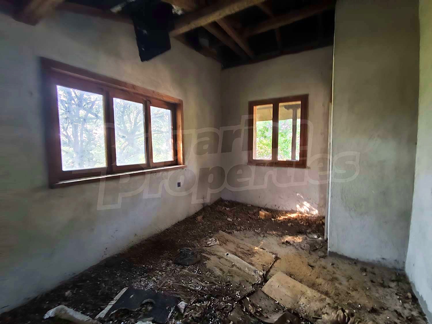 Gallery Picture 5