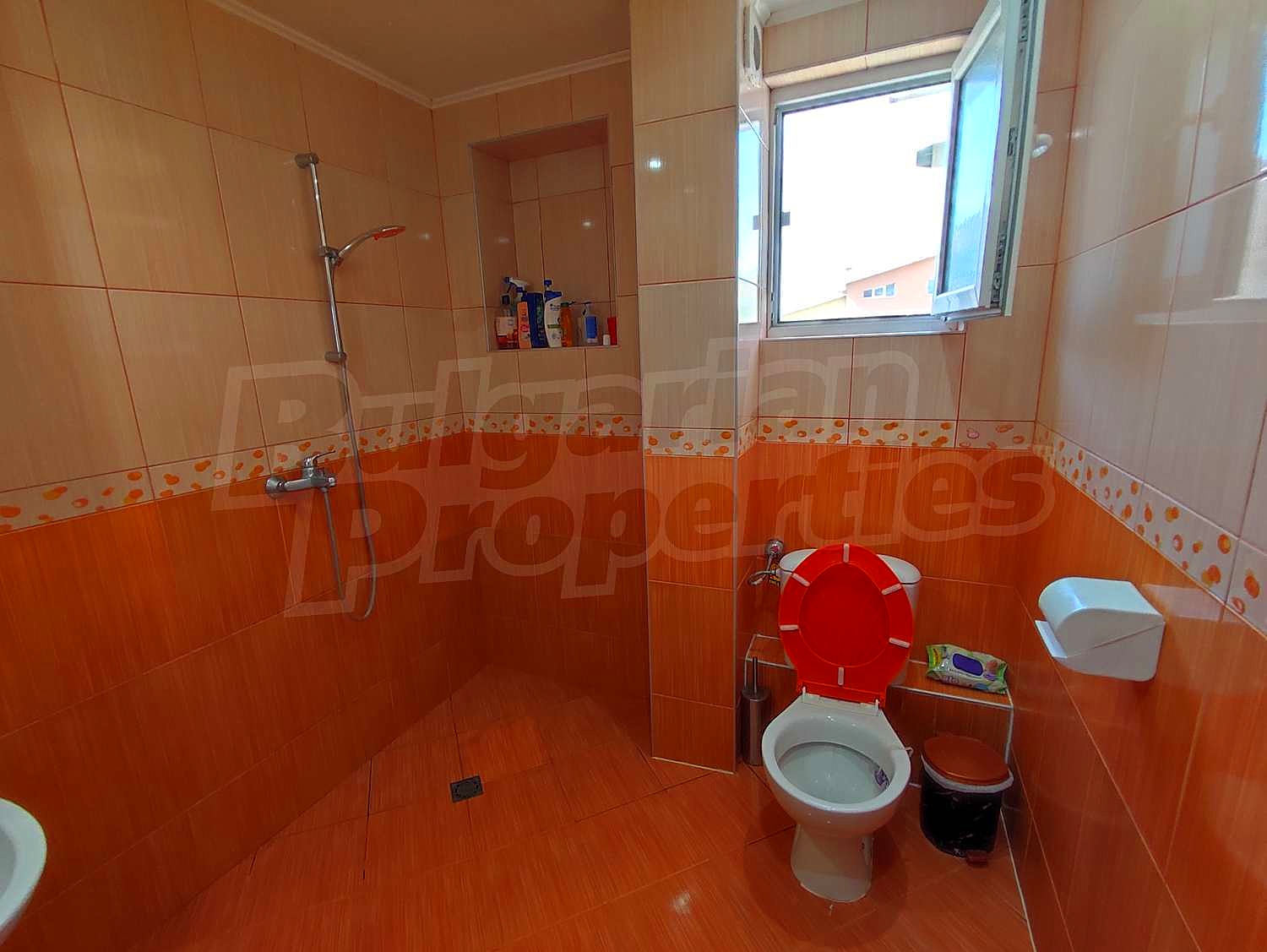 Gallery Picture 11