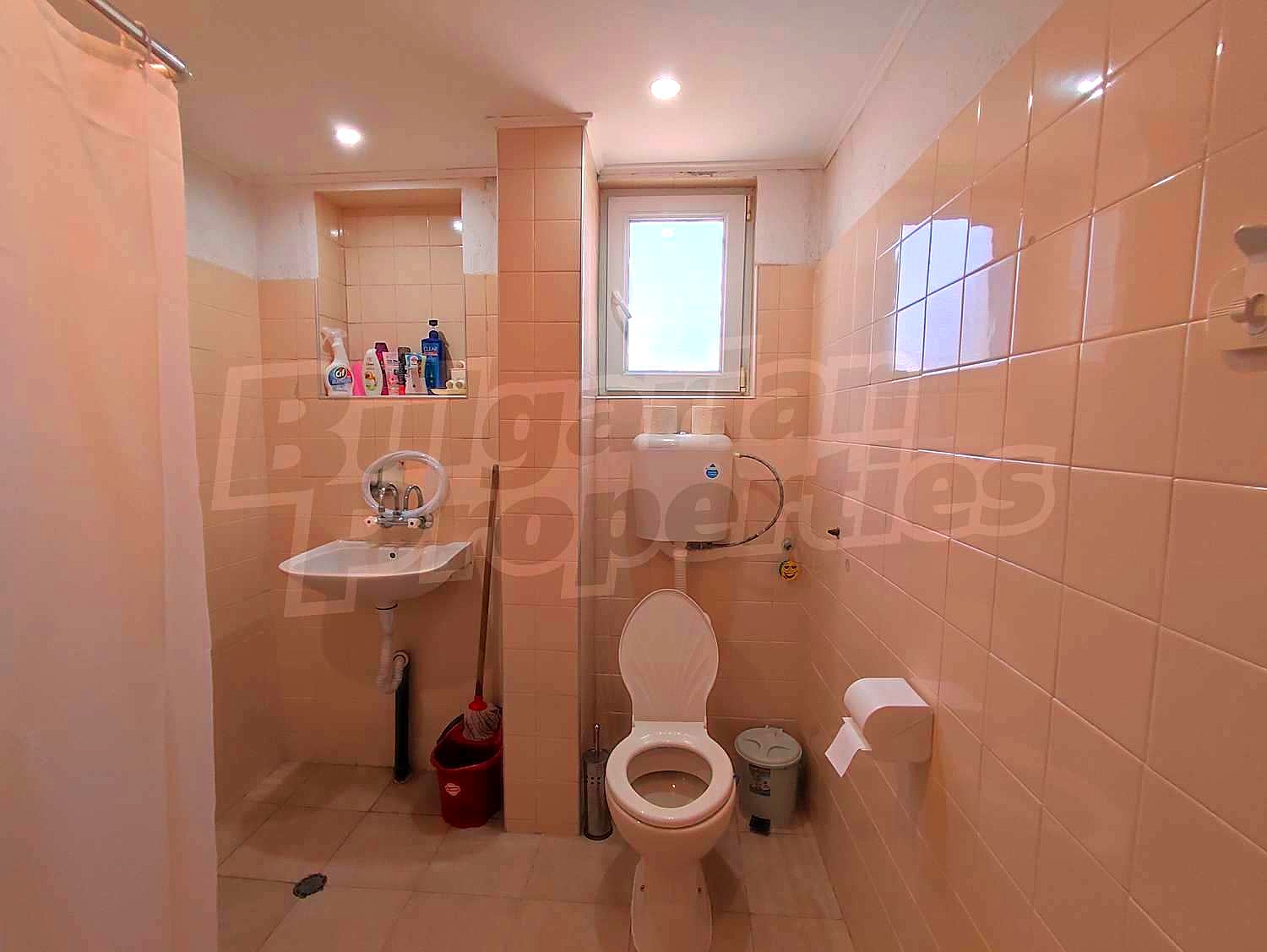 Gallery Picture 14