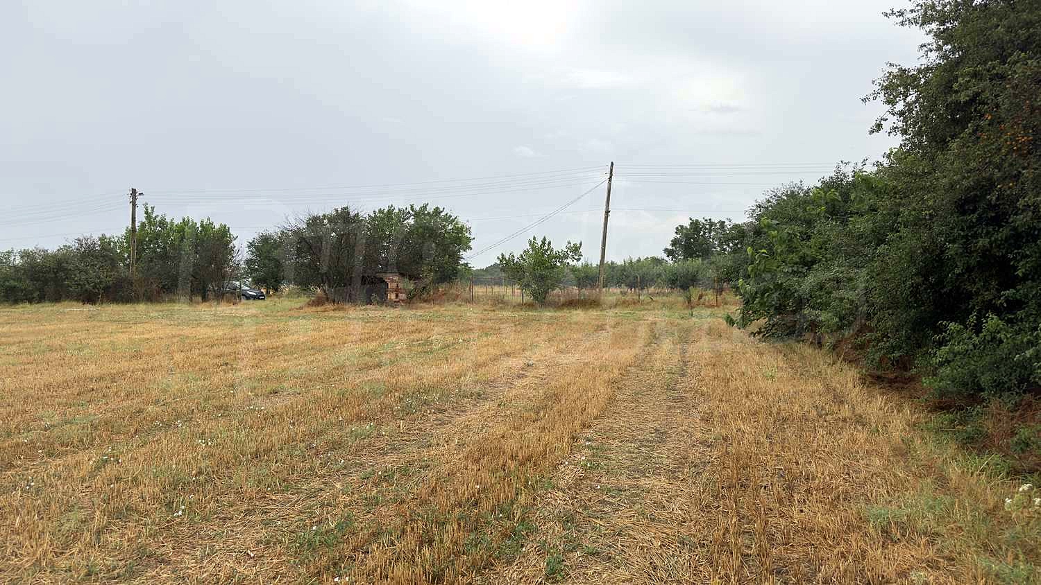 Gallery Picture 3