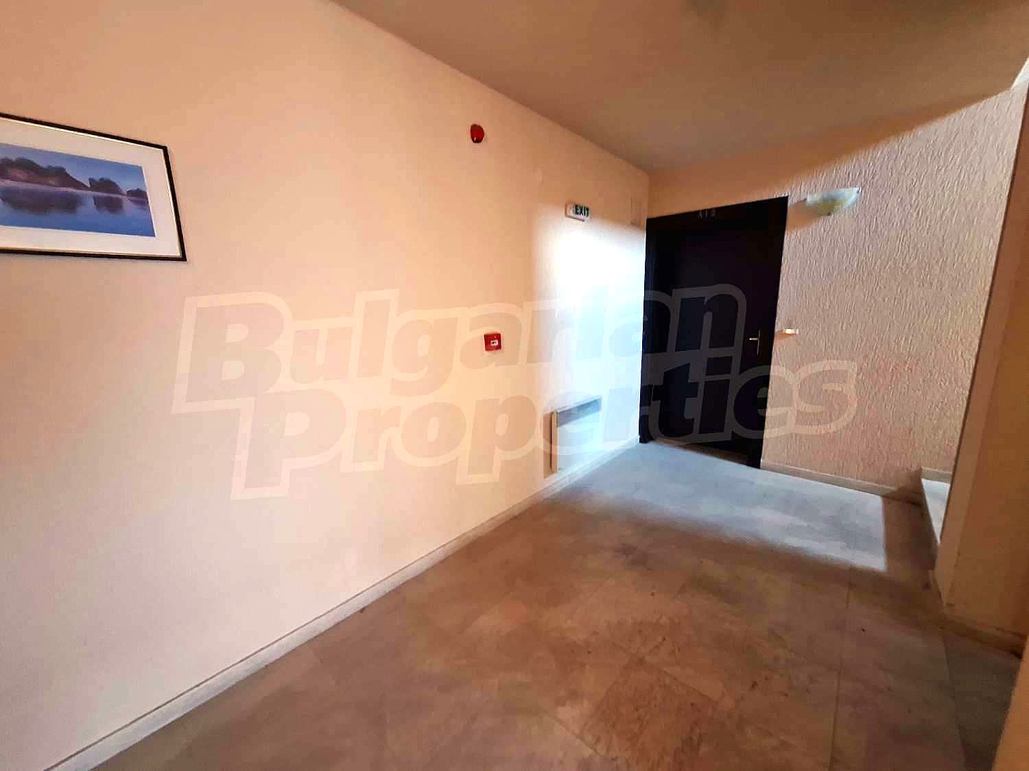Gallery Picture 23