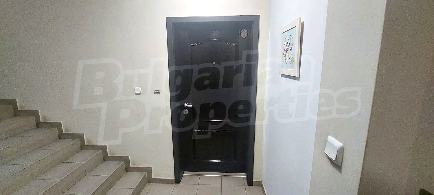 Gallery Picture 31