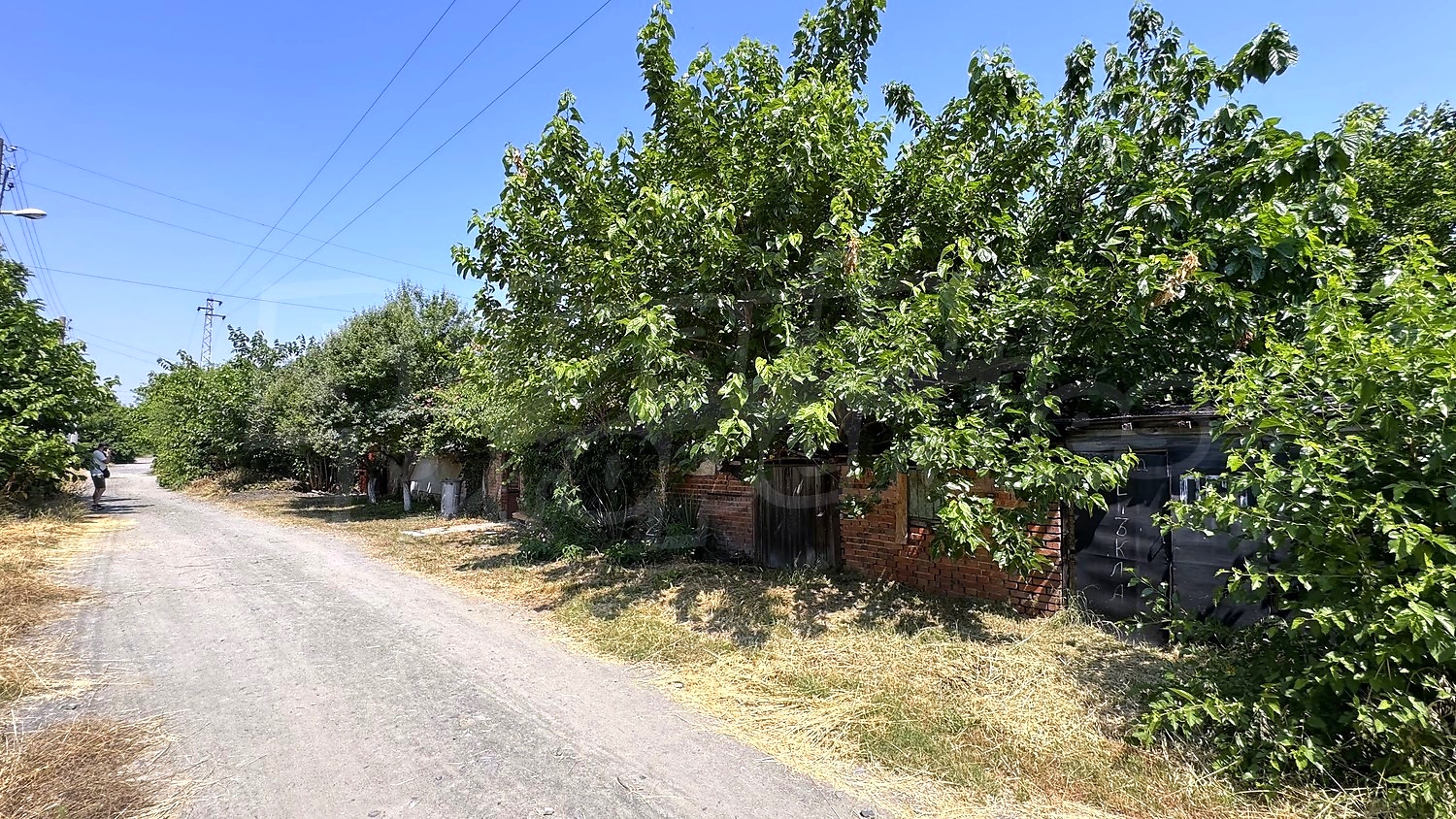 Gallery Picture 44