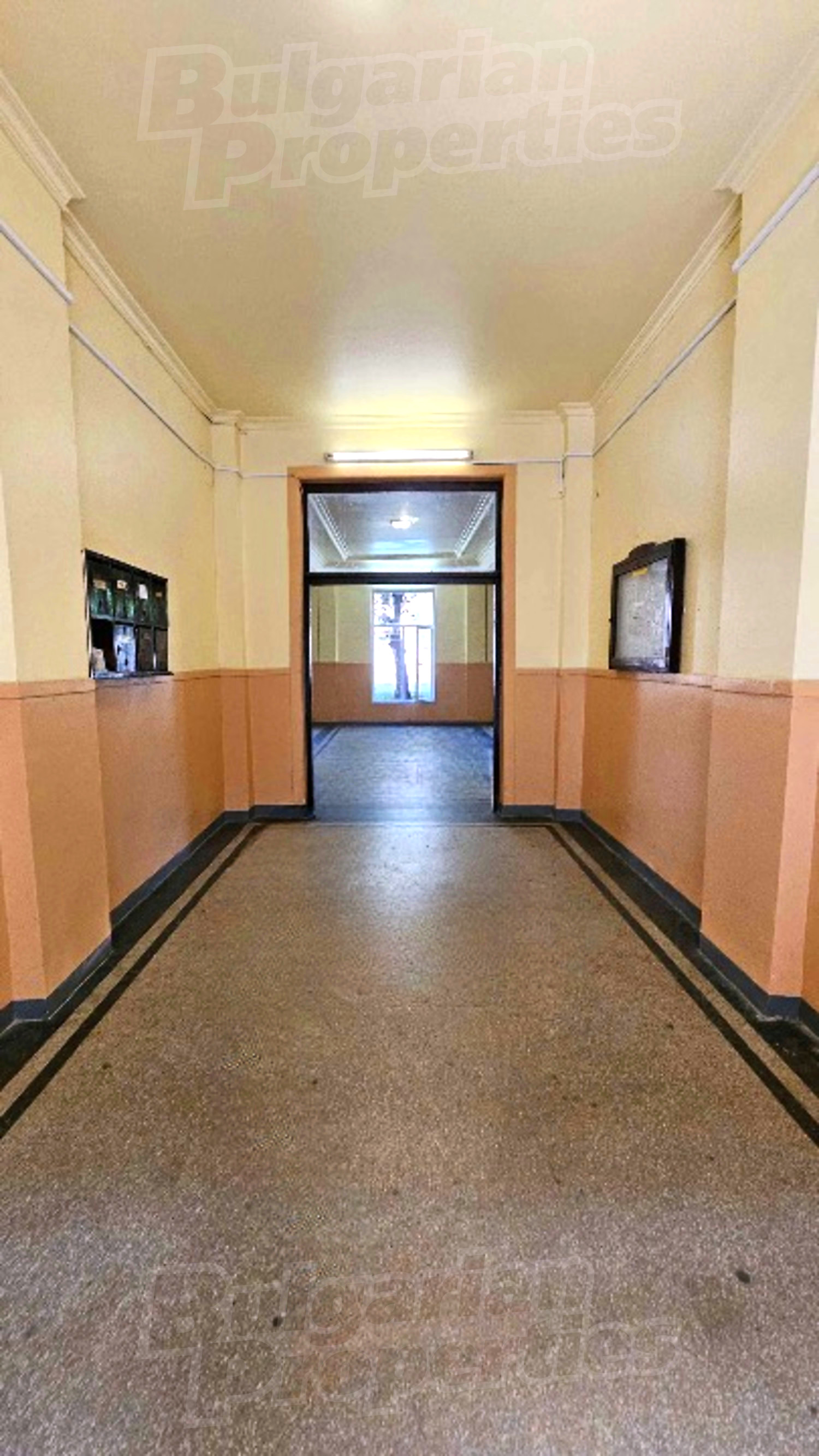 Gallery Picture 14