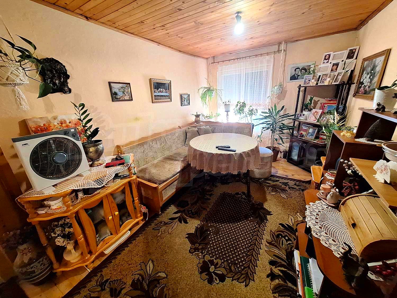 Gallery Picture 5