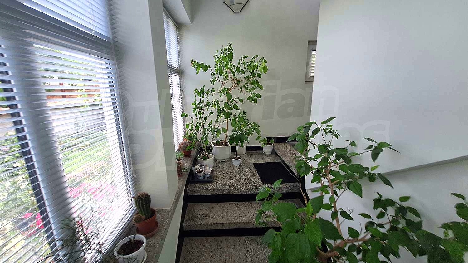 Gallery Picture 5