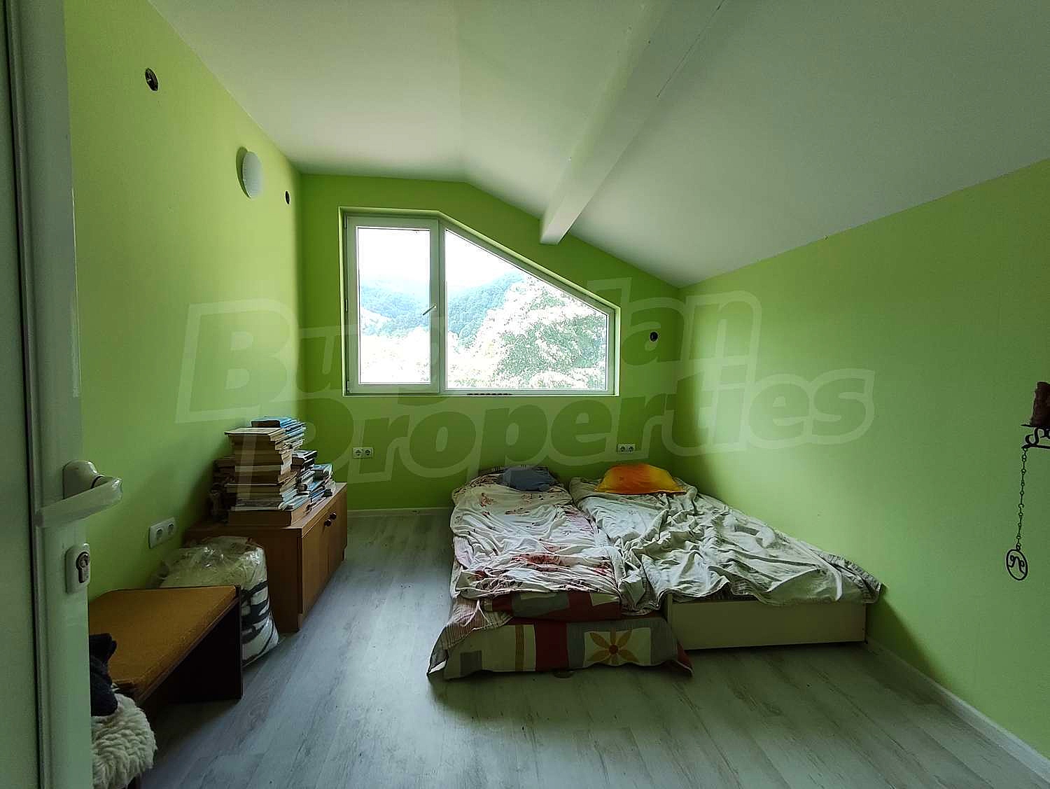 Gallery Picture 28