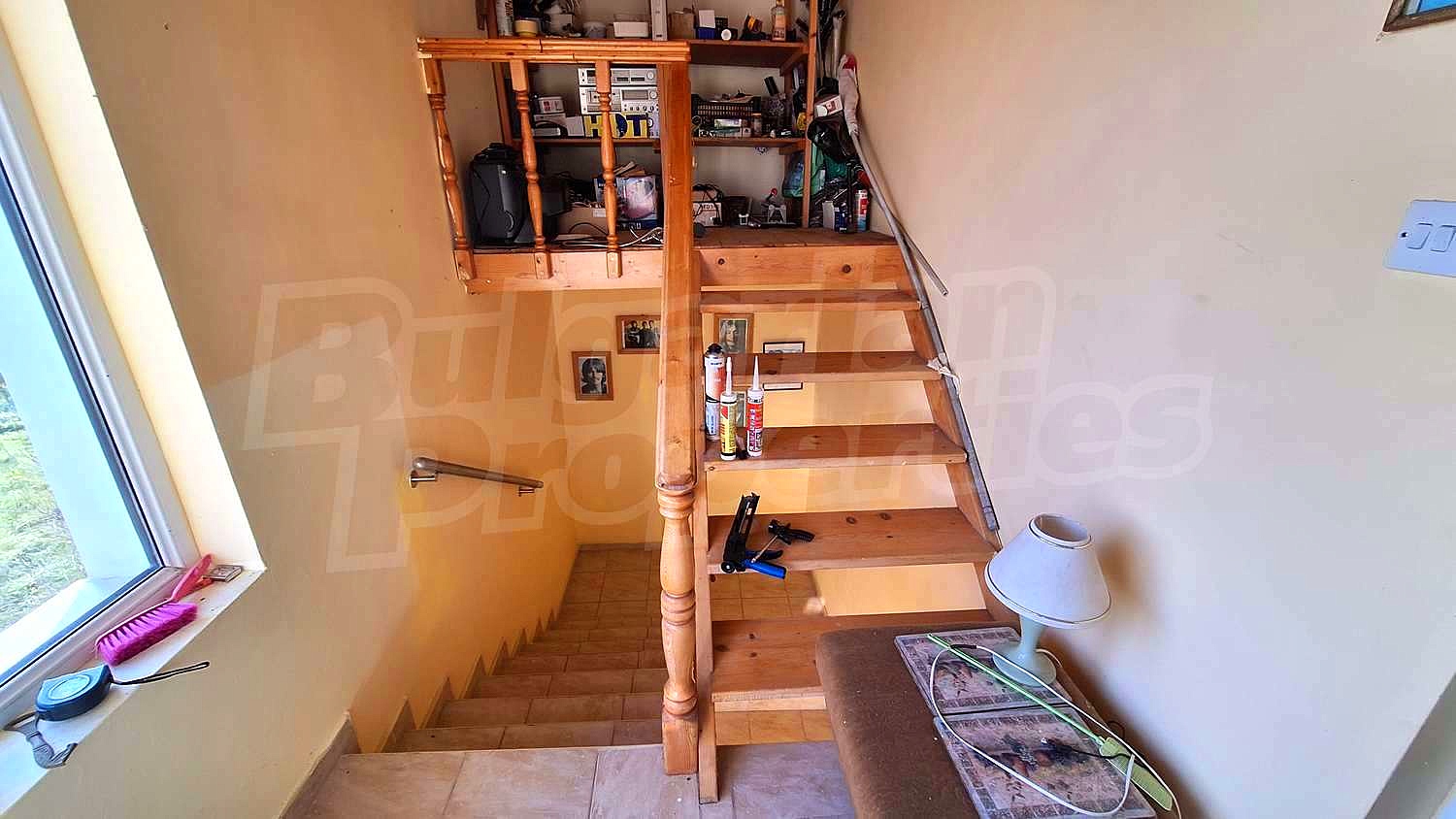 Gallery Picture 37