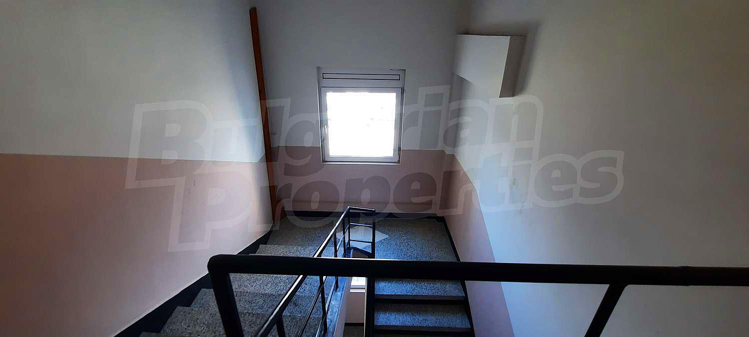 Gallery Picture 30