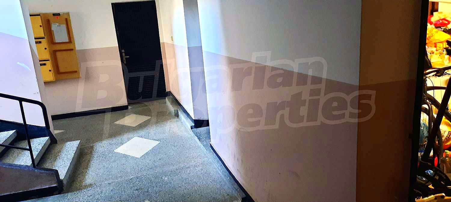 Gallery Picture 44