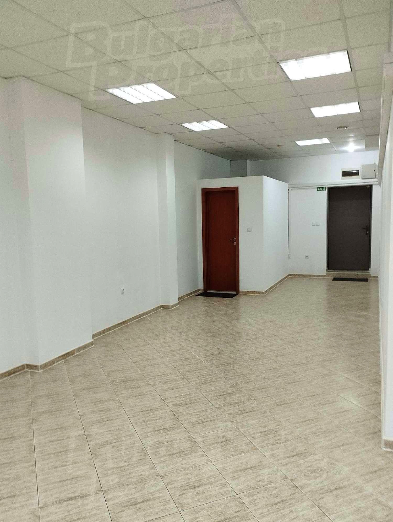 Gallery Picture 5
