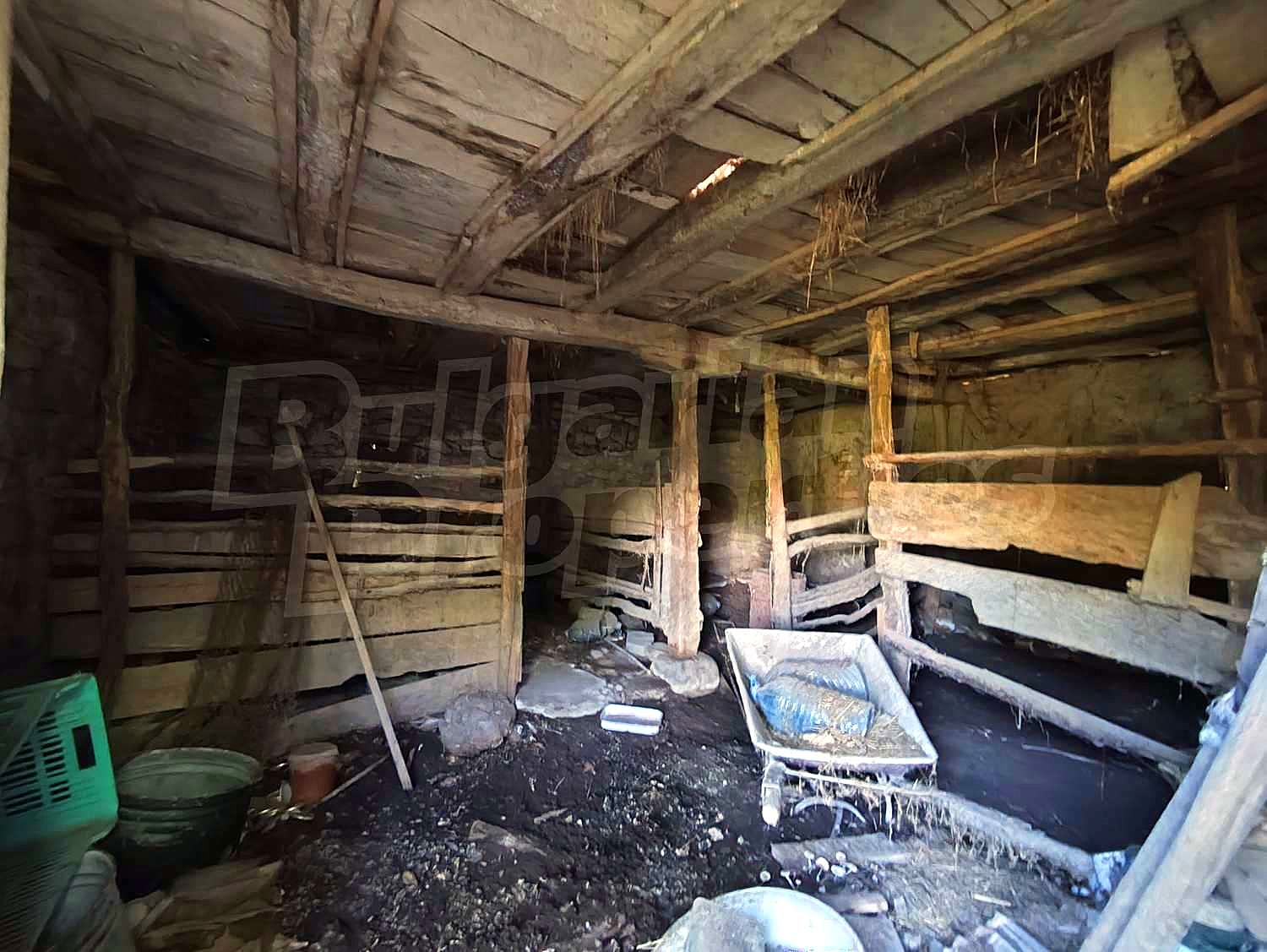 Gallery Picture 25