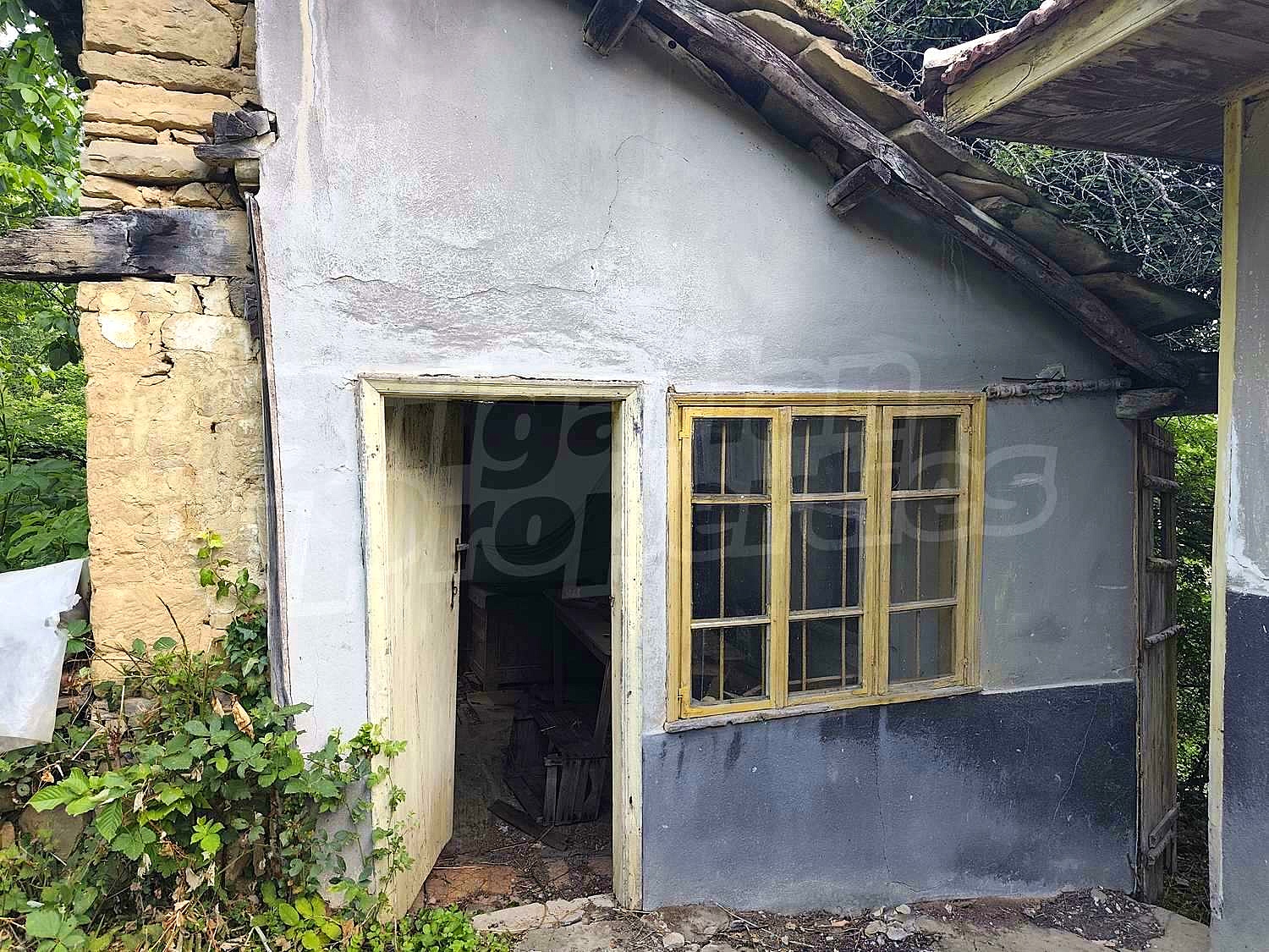 Gallery Picture 12