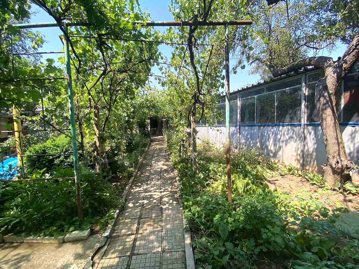 Gallery Picture 5
