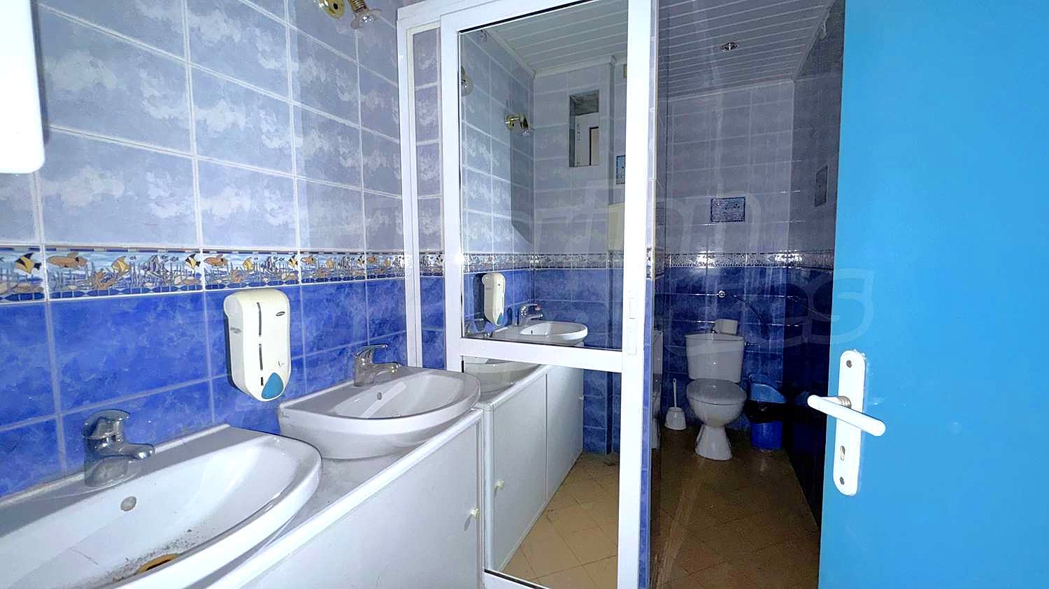 Gallery Picture 5