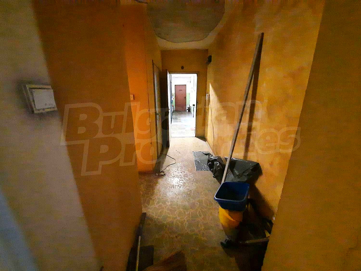 Gallery Picture 5