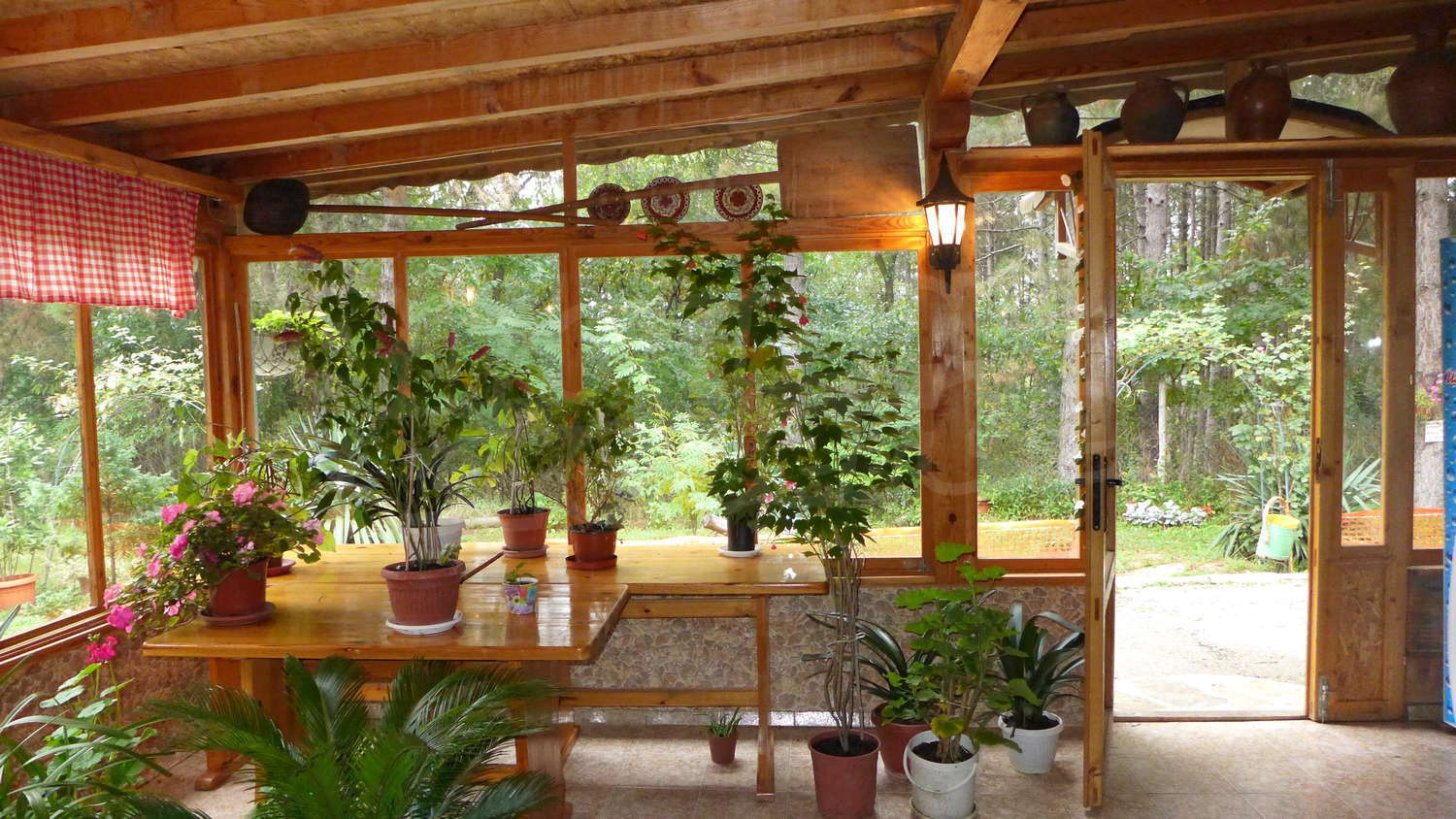Gallery Picture 11