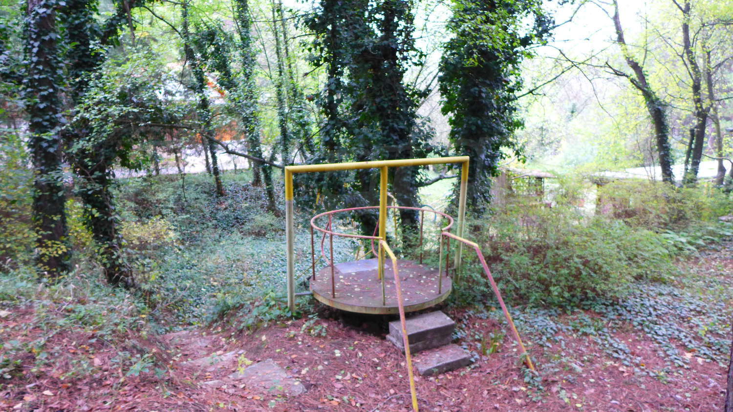 Gallery Picture 42