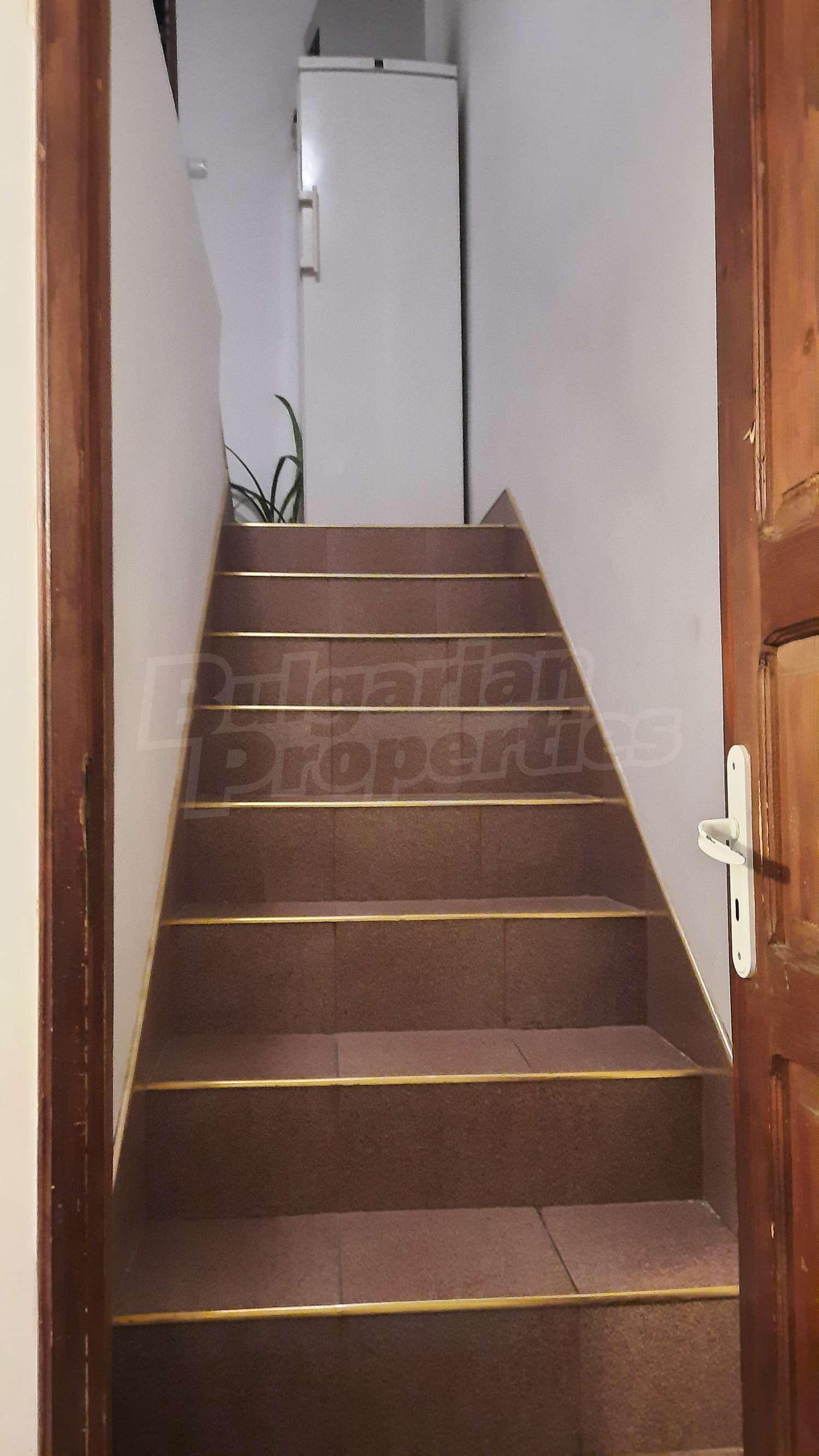 Gallery Picture 21