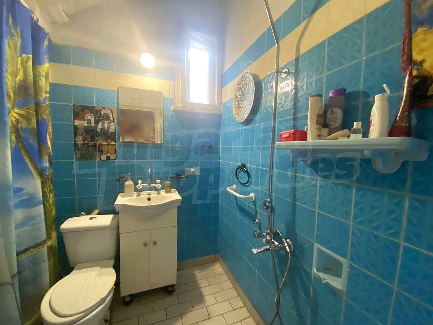 Gallery Picture 16