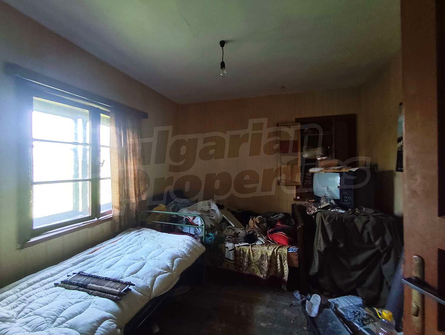 Gallery Picture 19