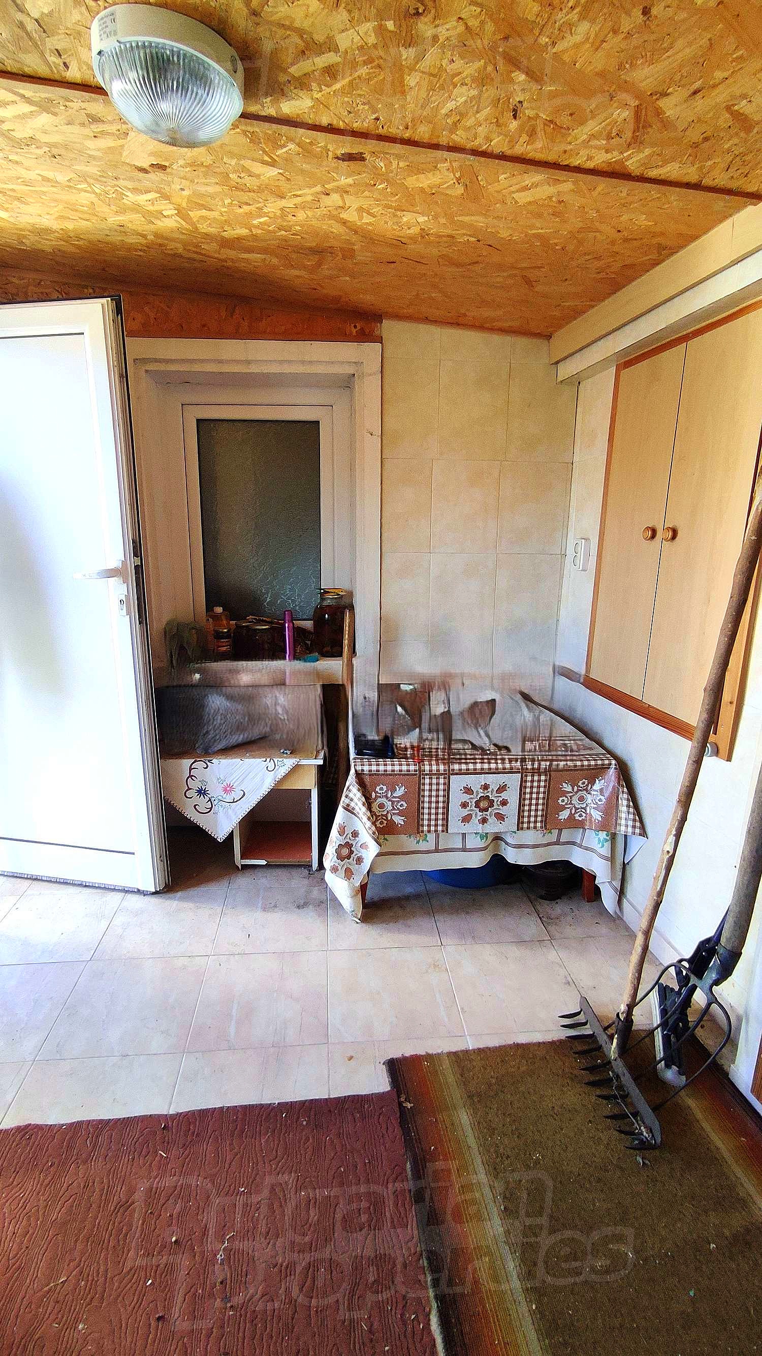 Gallery Picture 5