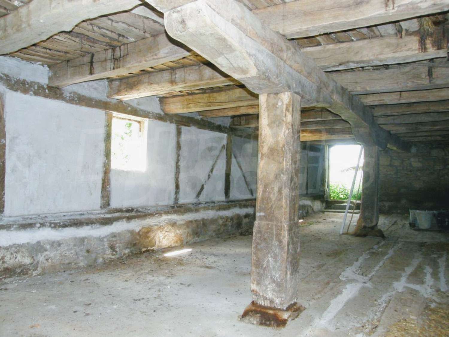 Gallery Picture 24