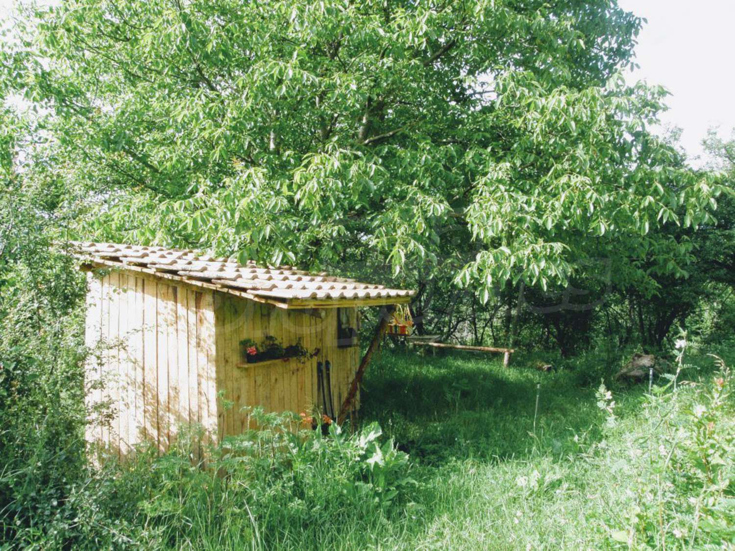 Gallery Picture 32