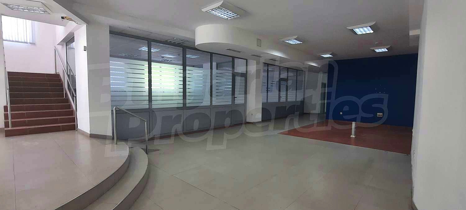 Gallery Picture 13