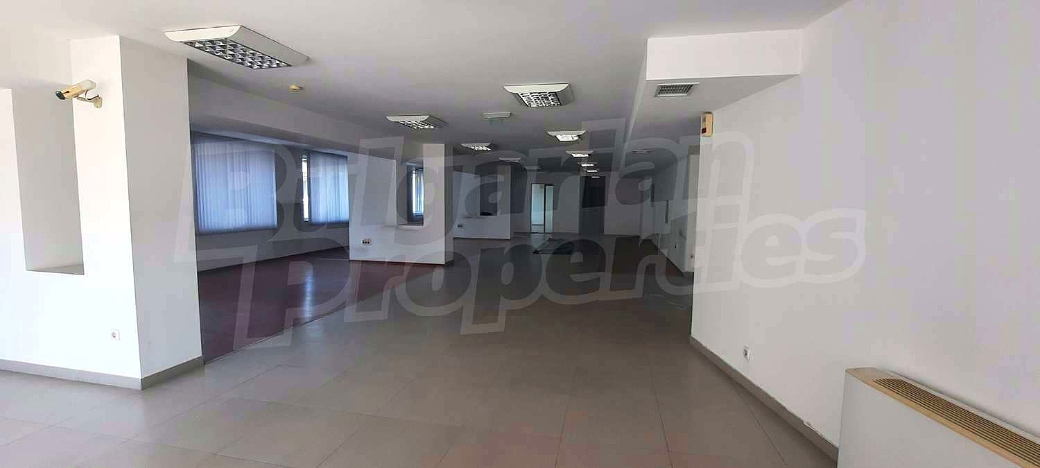 Gallery Picture 11