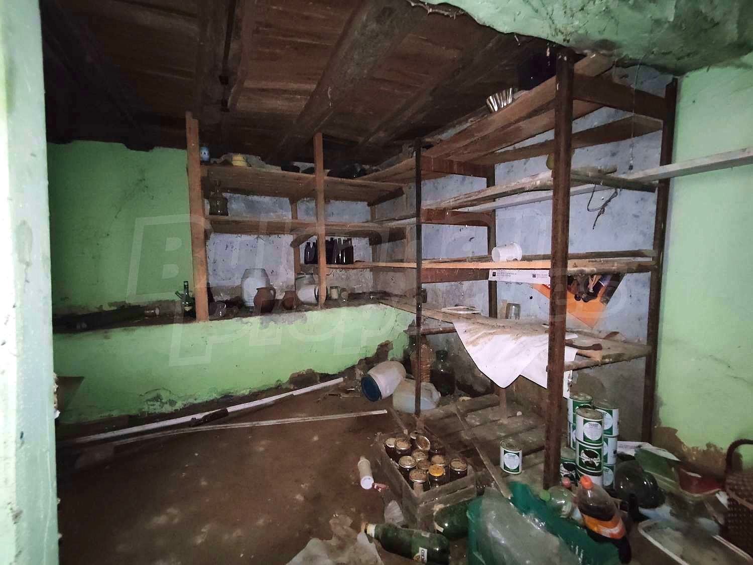 Gallery Picture 23