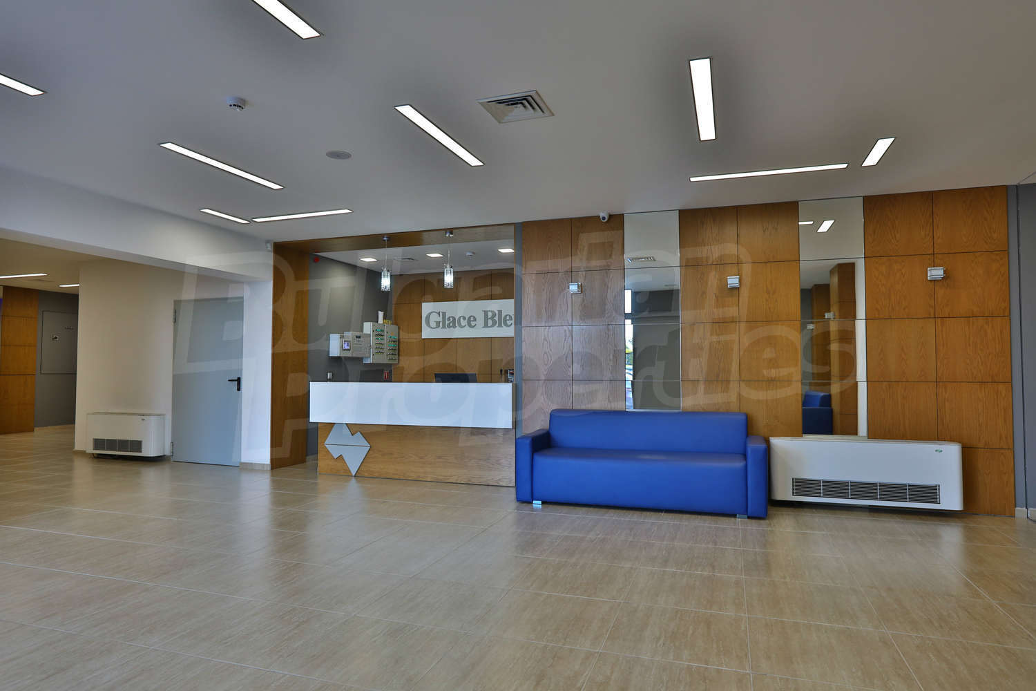 Gallery Picture 41