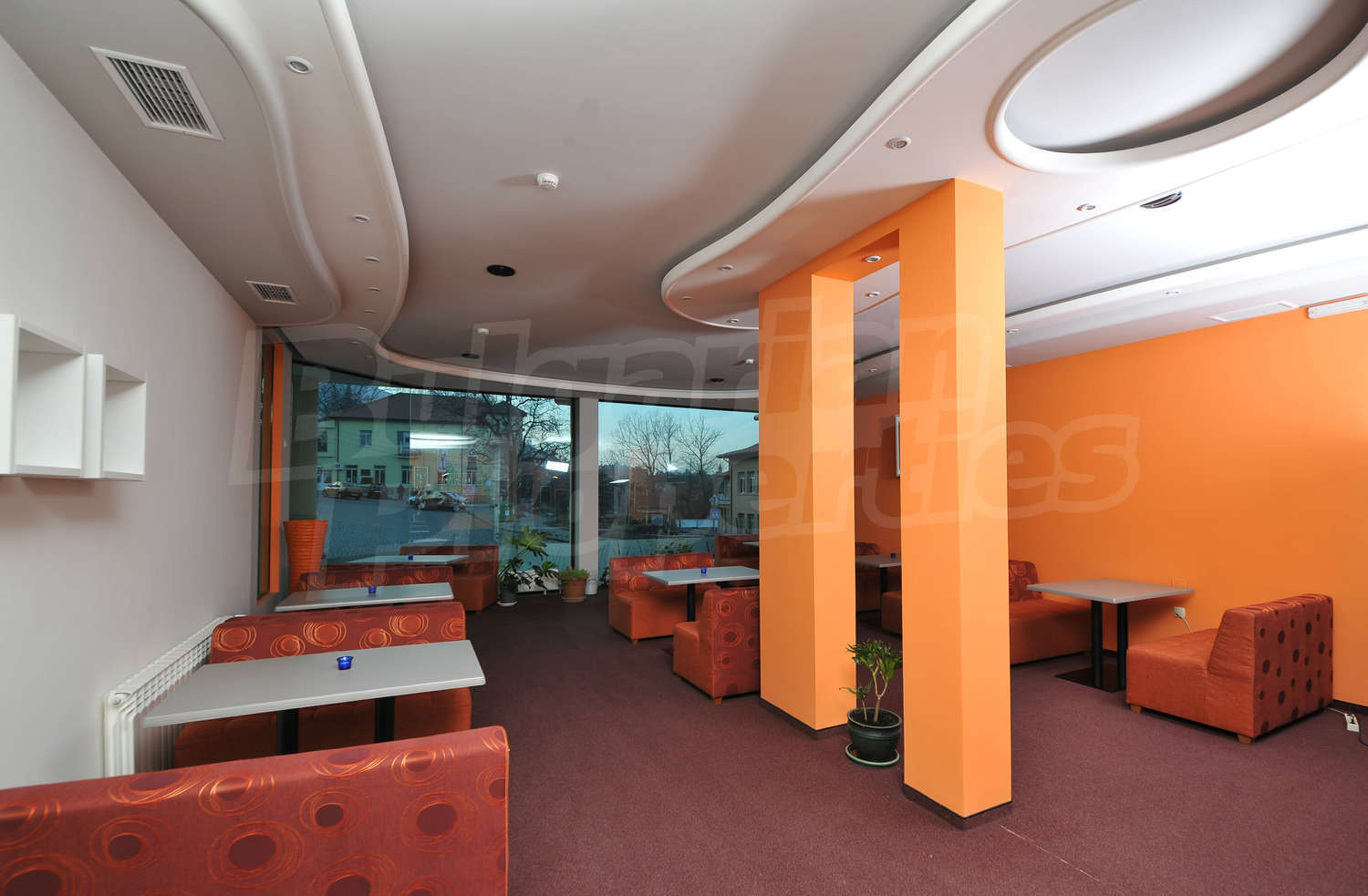 Gallery Picture 5