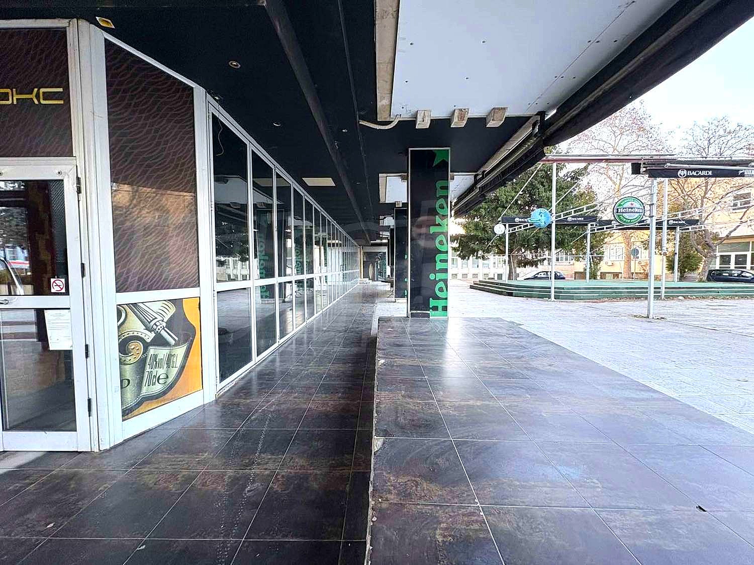 Gallery Picture 13