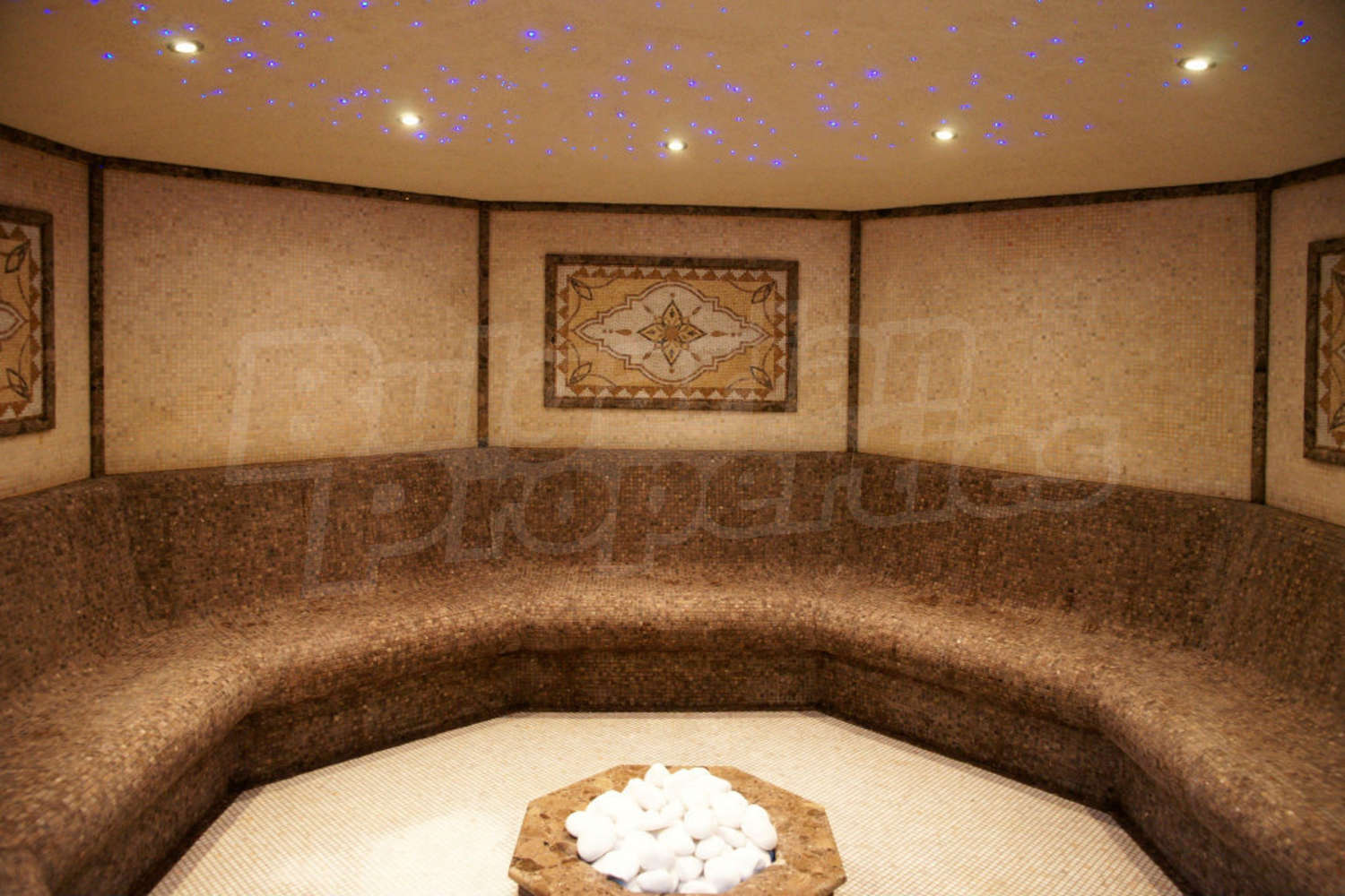 Gallery Picture 17