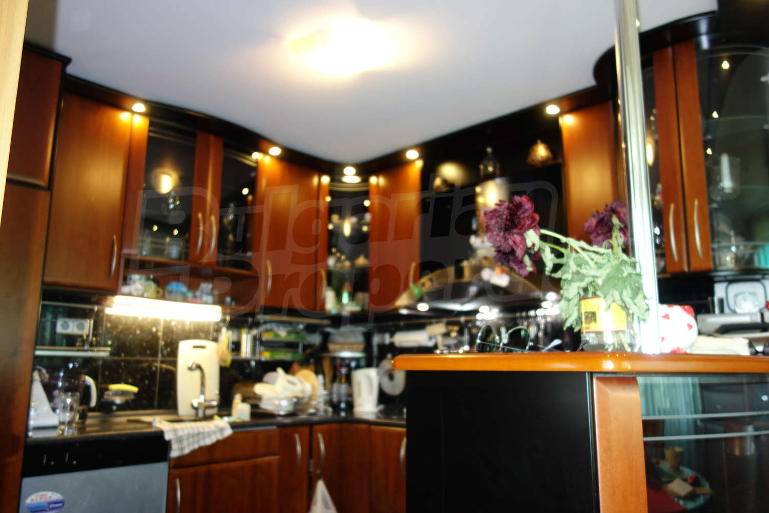 Gallery Picture 6