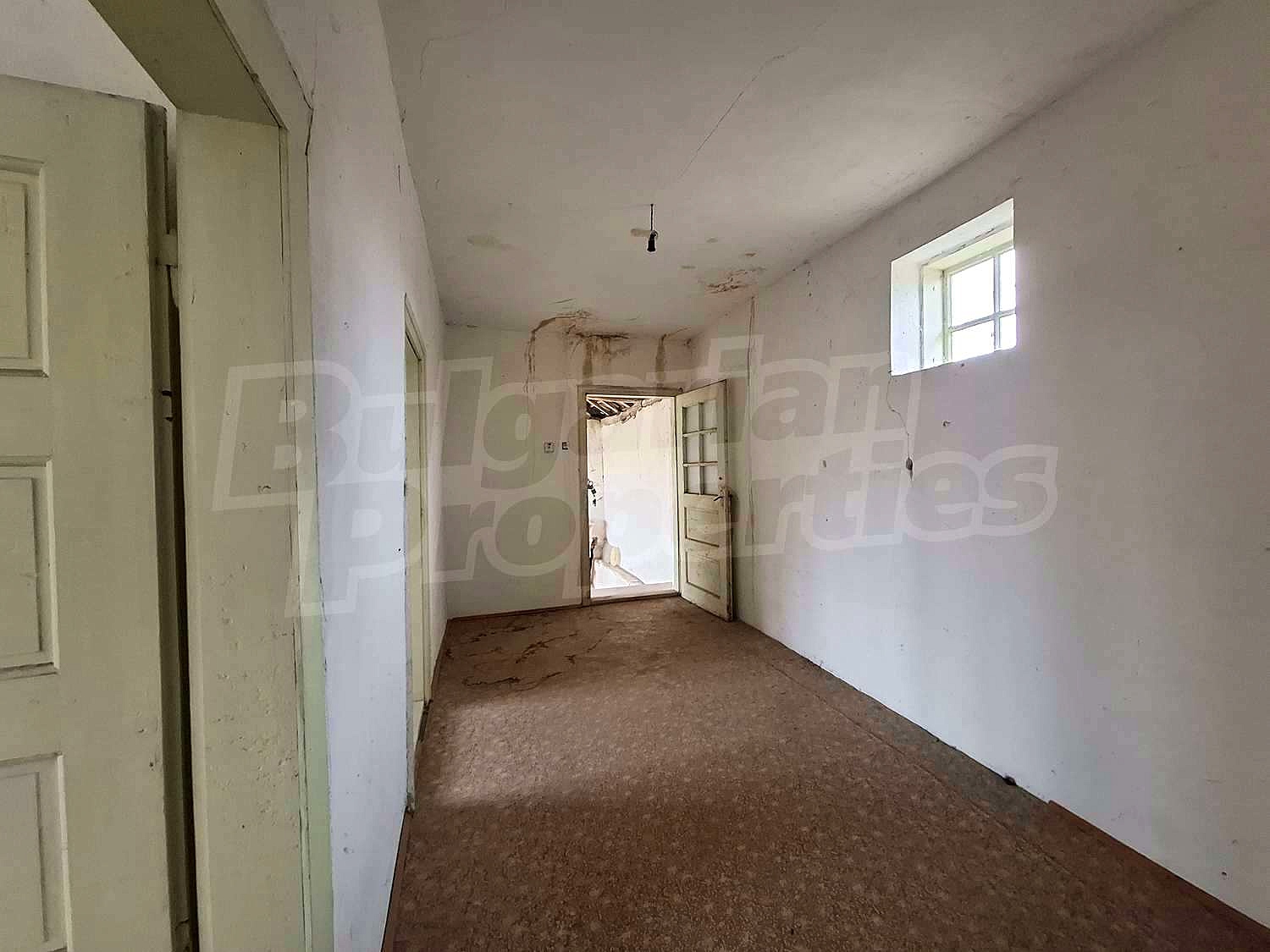Gallery Picture 19