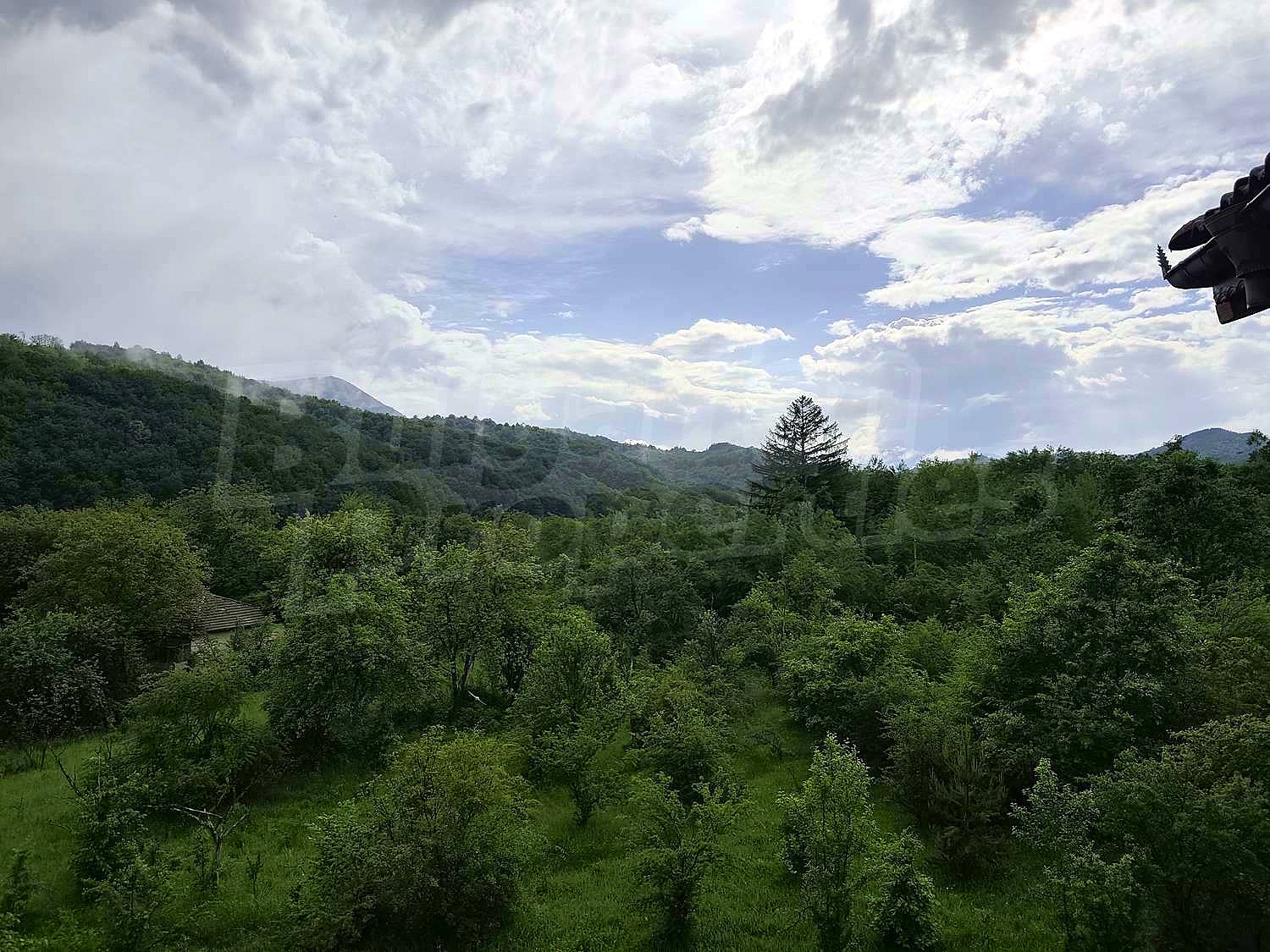 Gallery Picture 11