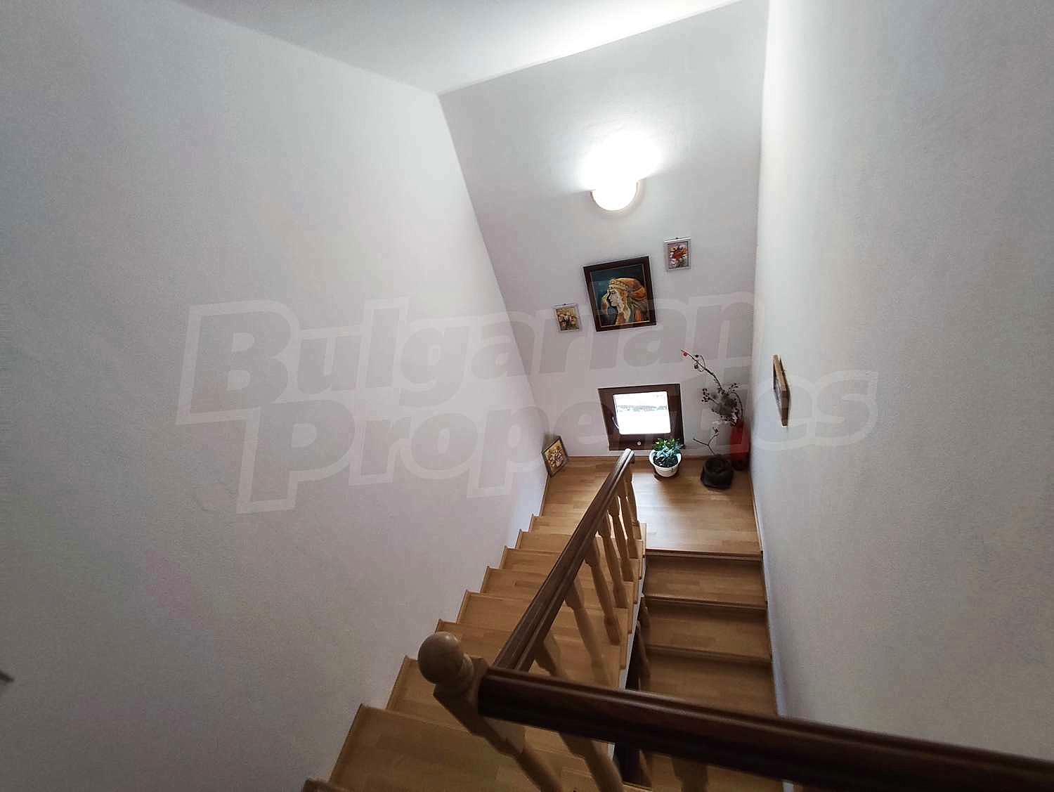 Gallery Picture 26