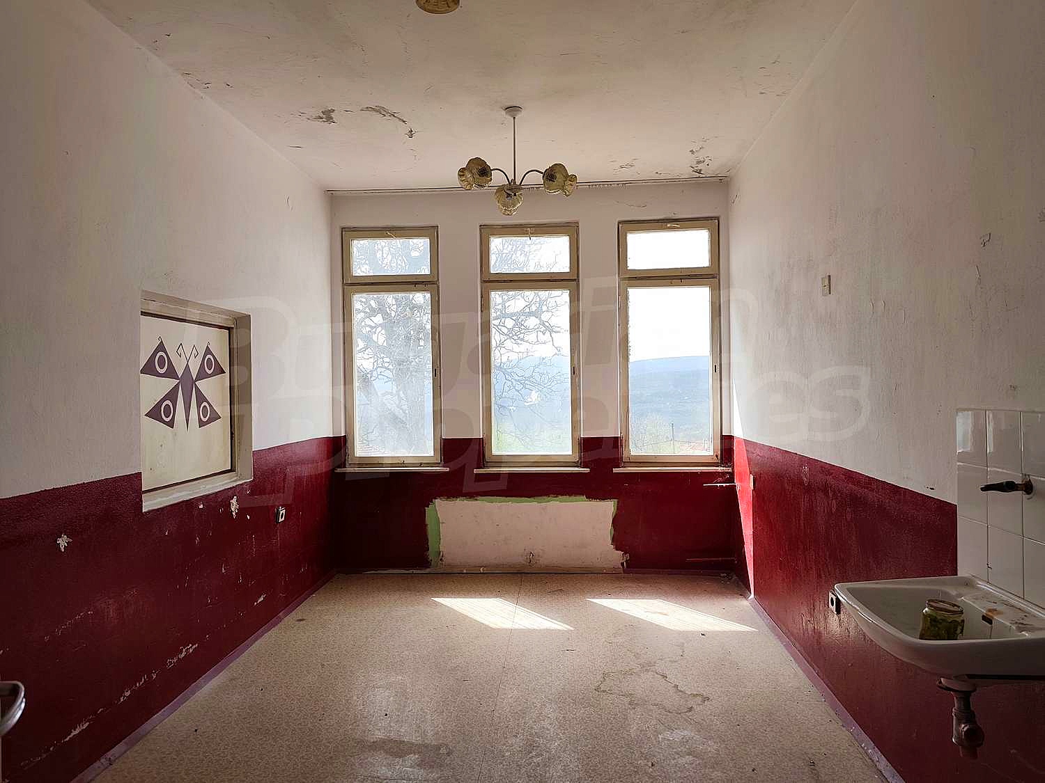 Gallery Picture 29