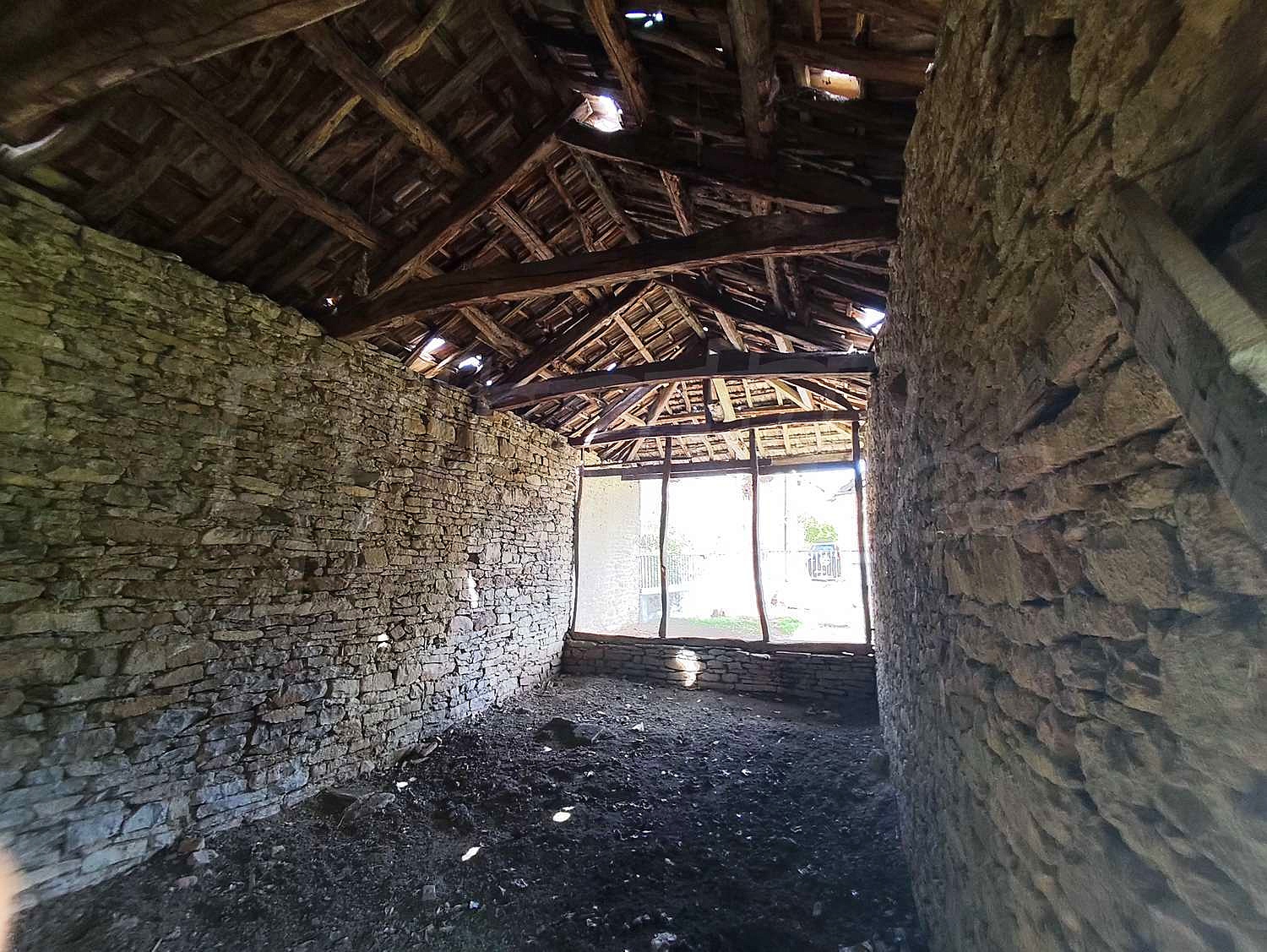 Gallery Picture 35